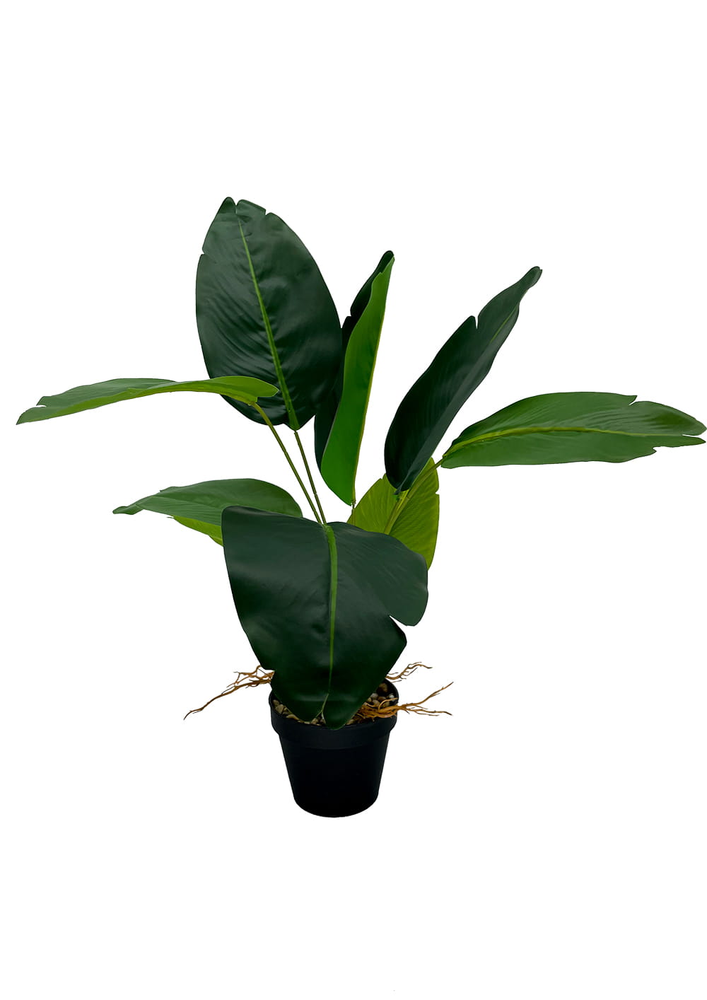 Plante artificielle dieffenbachia 55 cm – Green Designers