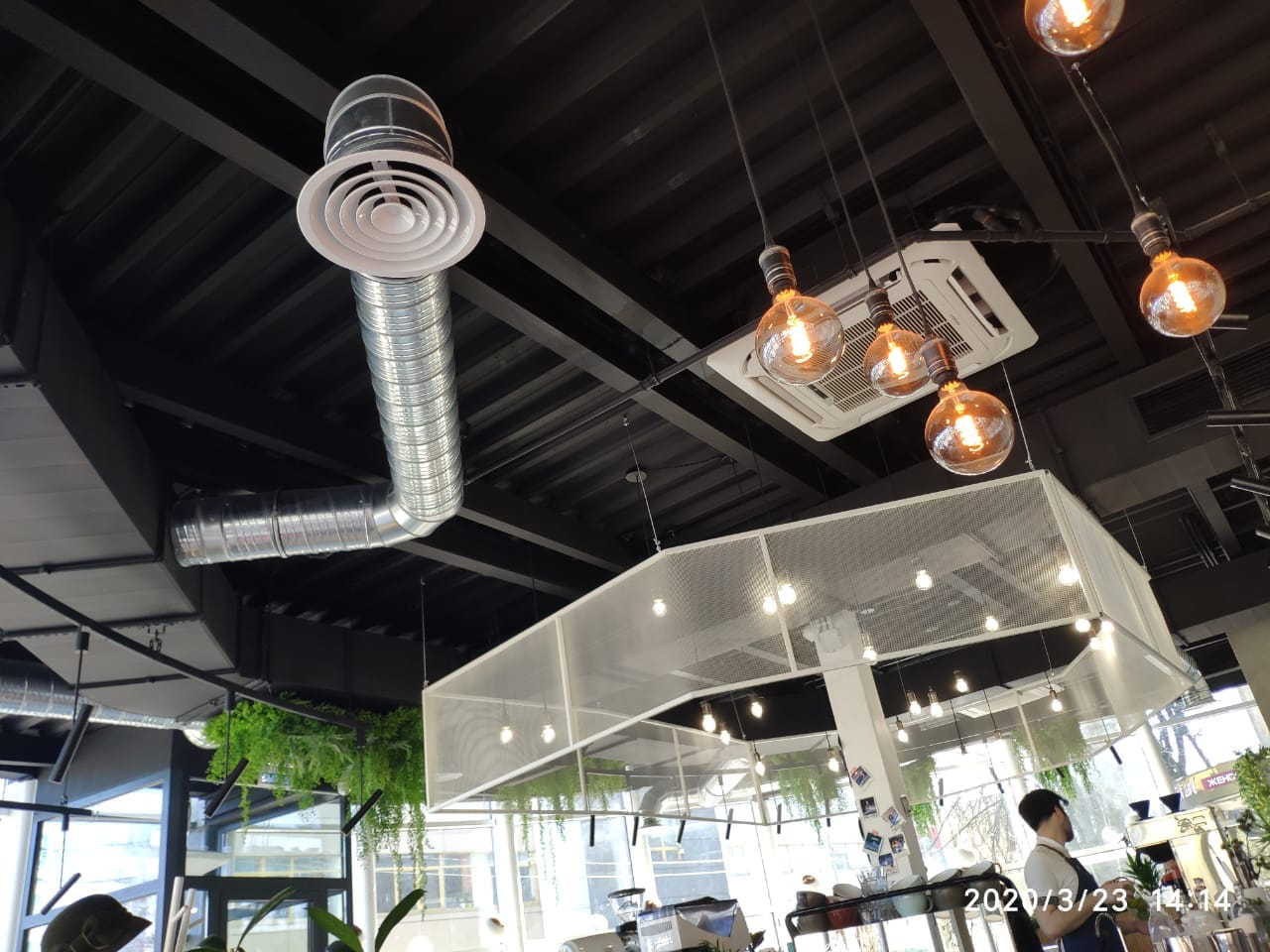 Remplissage végétal pour le pot Purple Crow – Green Designers