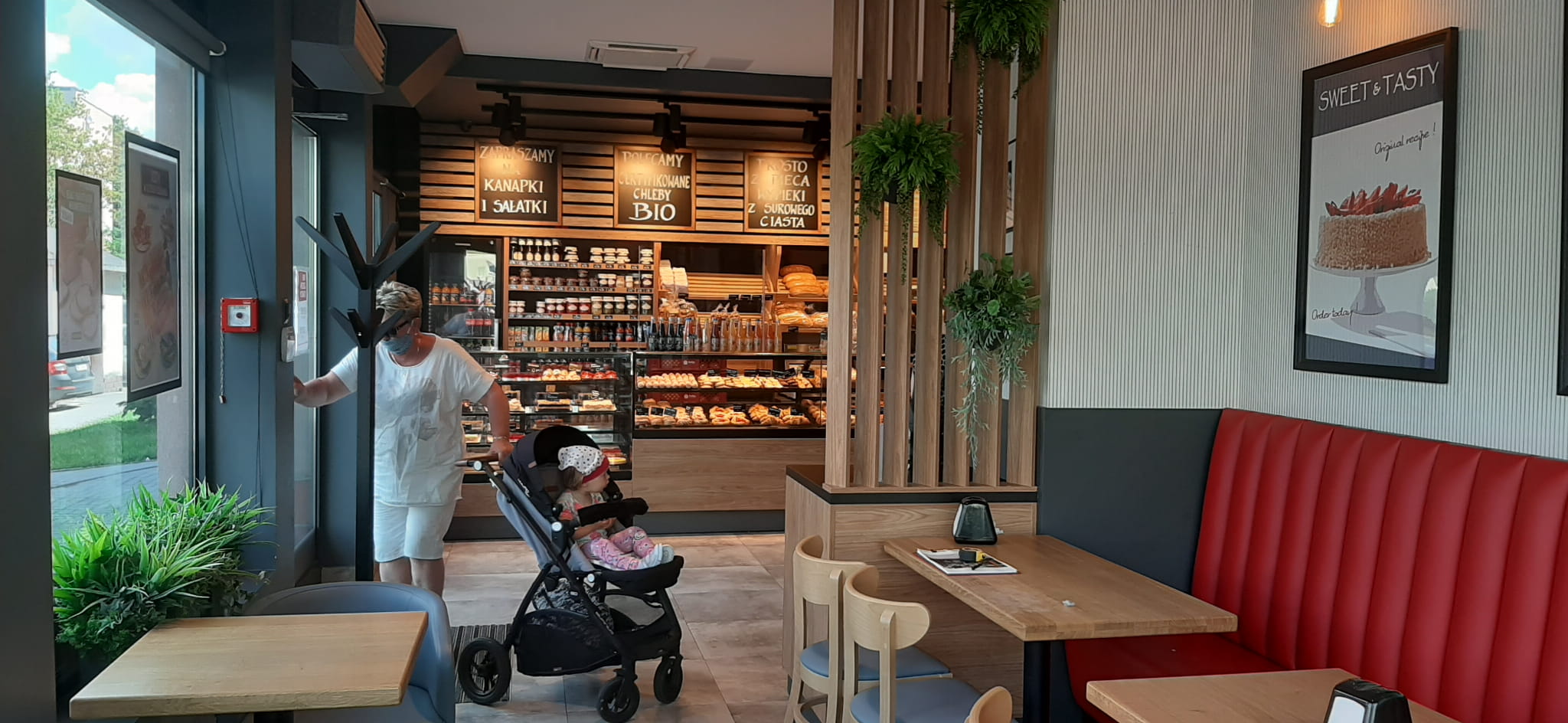 Remplissage végétal pour le pot Blue Jay – Green Designers