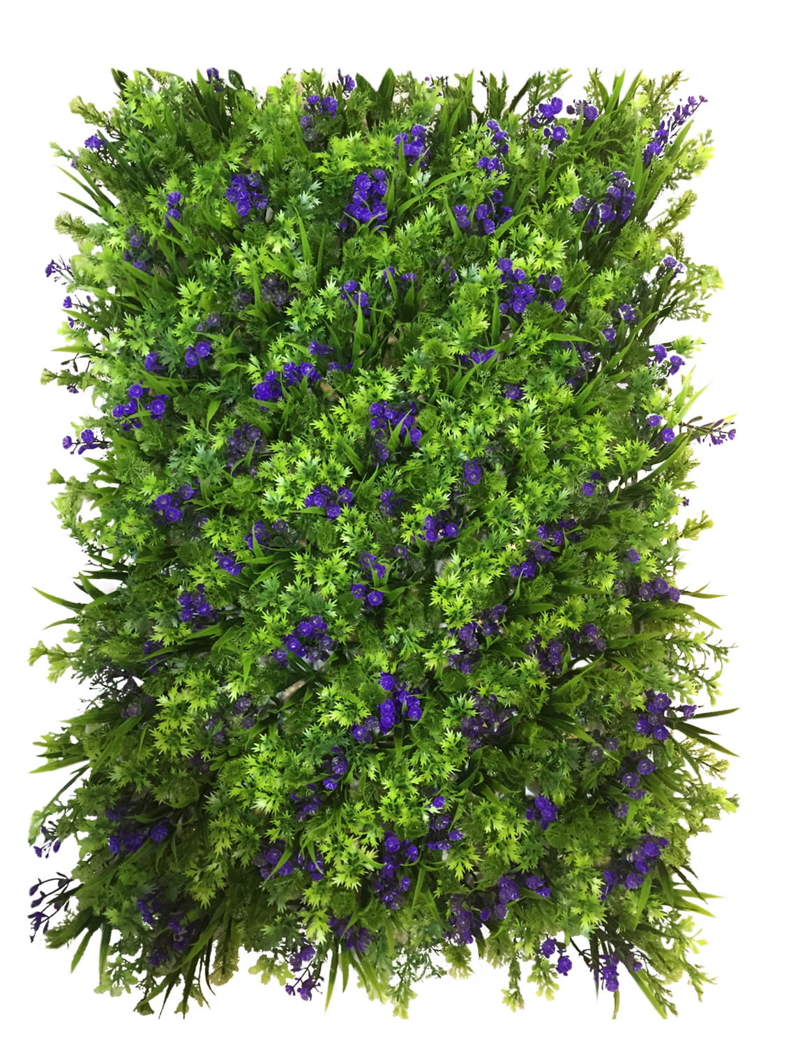Mur végétal bleuet 40x60cm – Green Designers