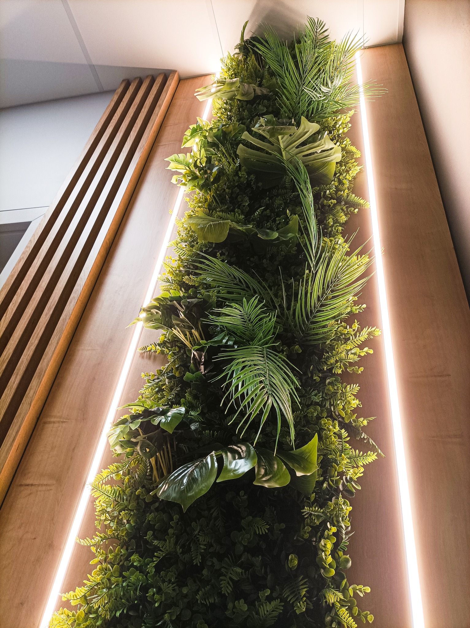 Jardin vertical de La Havane – Green Designers