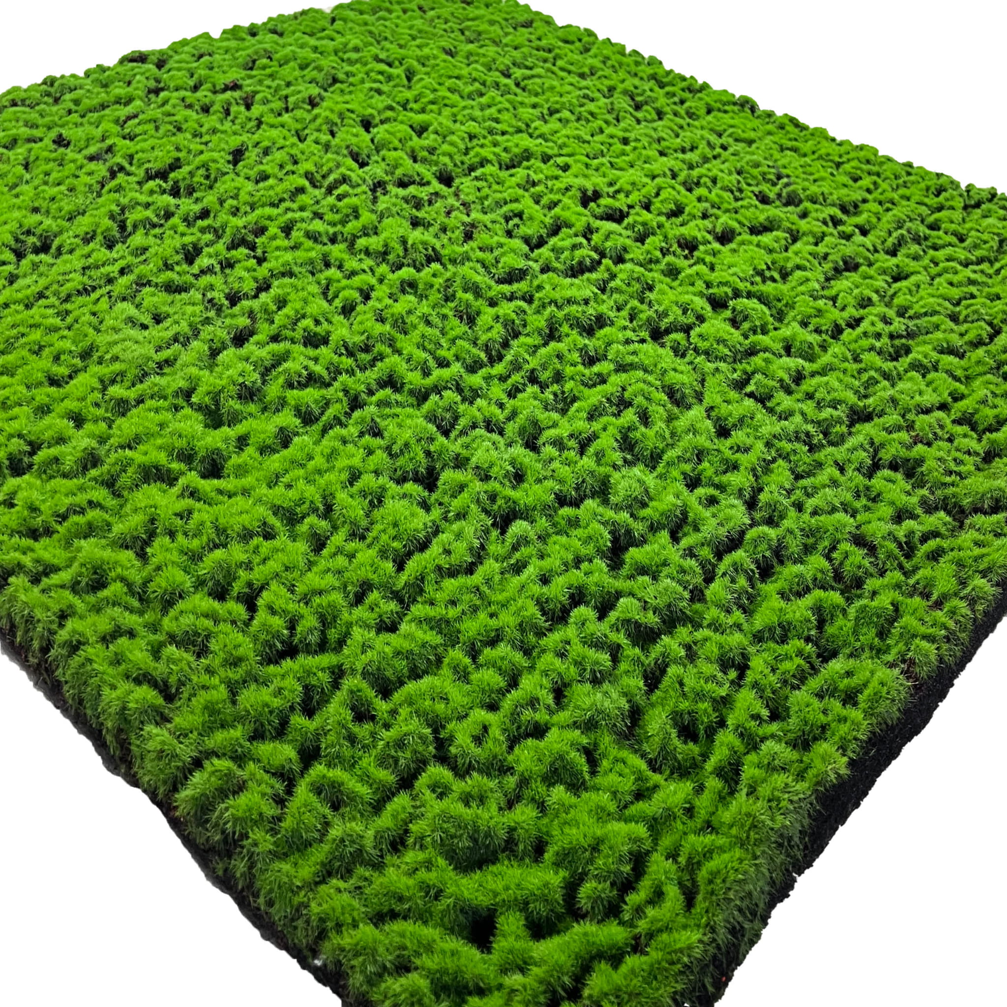 Mousse artificielle Chrobotek 100x100cm – Green Designers