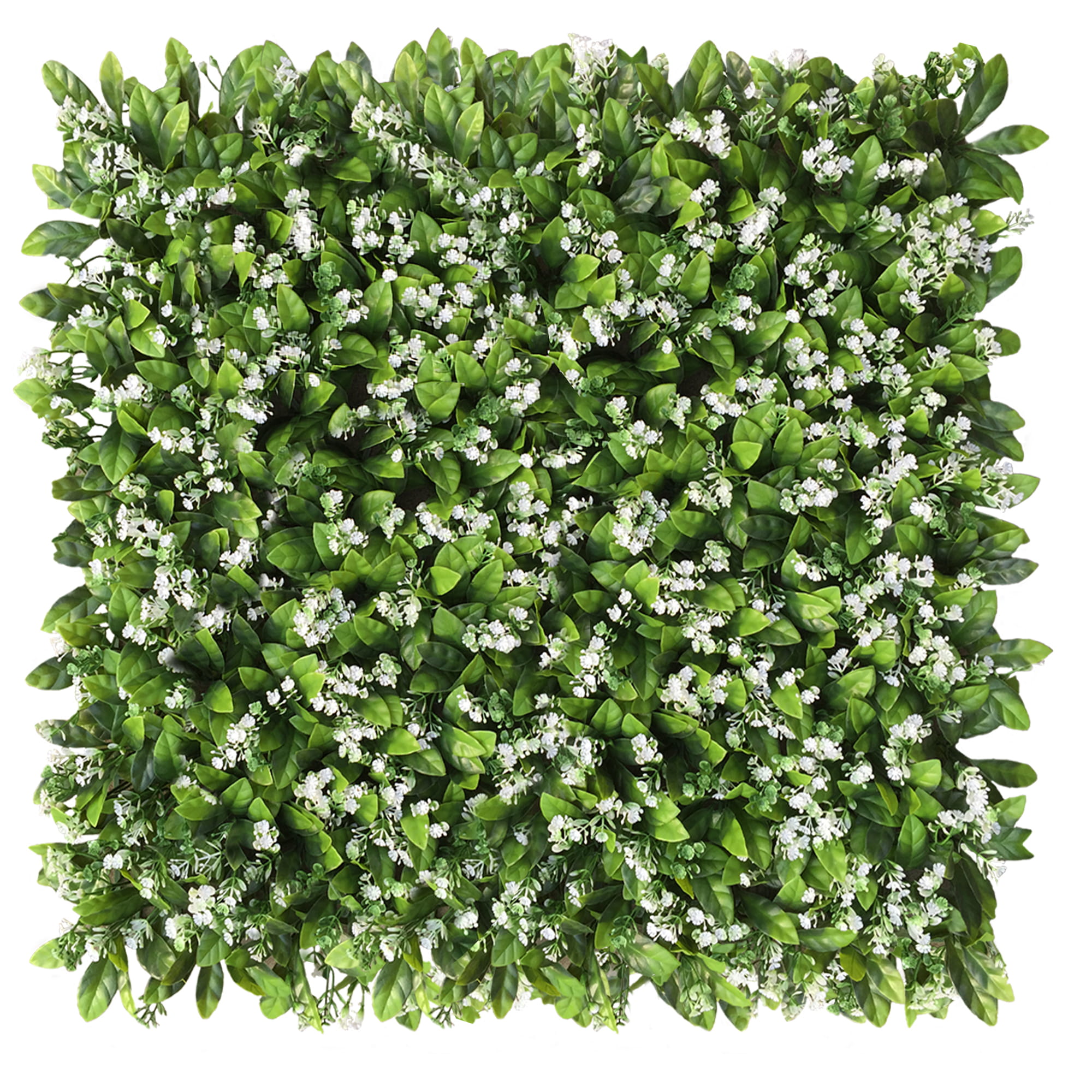 Mur végétal Cress 50x50cm