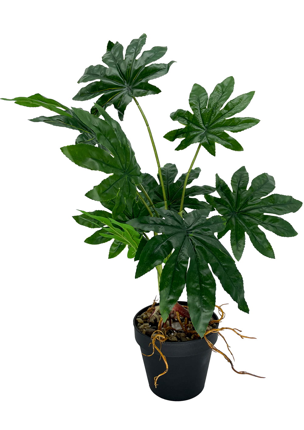 Plante Aralia artificielle 55 cm – Green Designers