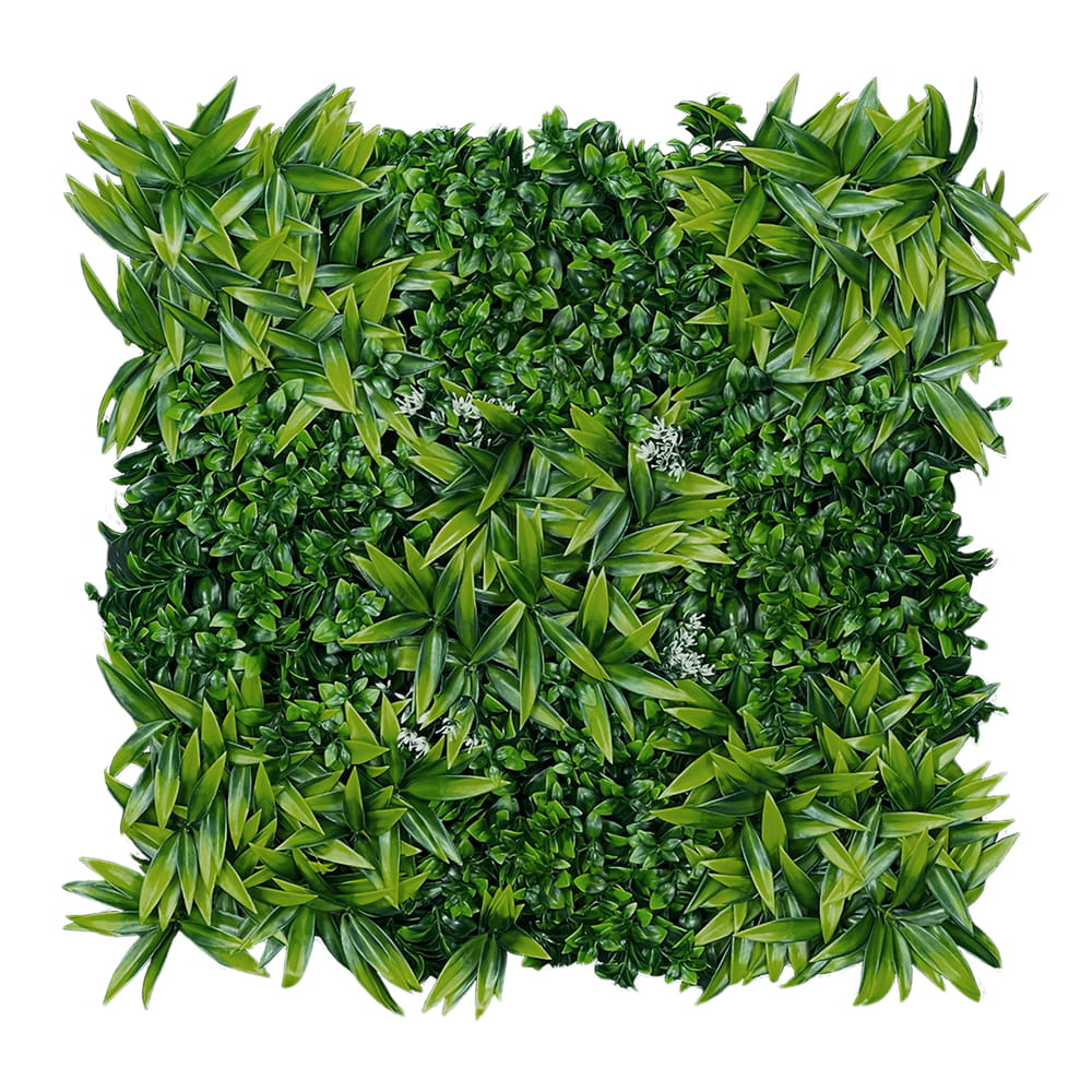 Mur végétal Citronnier 50x50cm