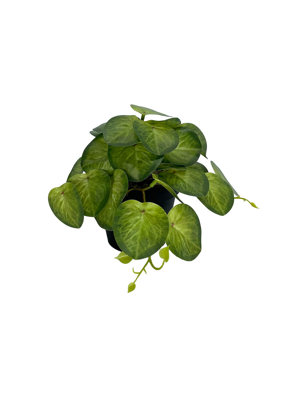 Plante Pilea artificielle 19 cm - Vert clair