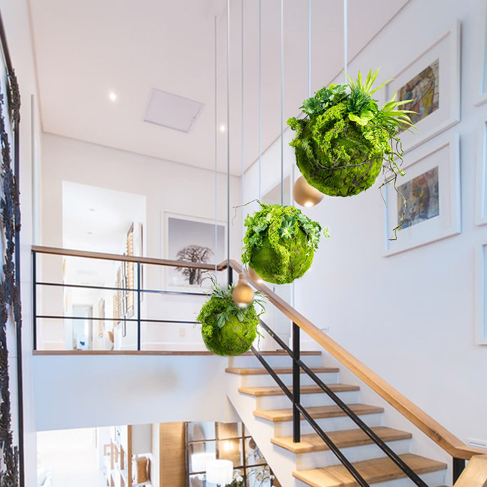 Boule de mousse suspendue Kokedama 35 cm – Green Designers