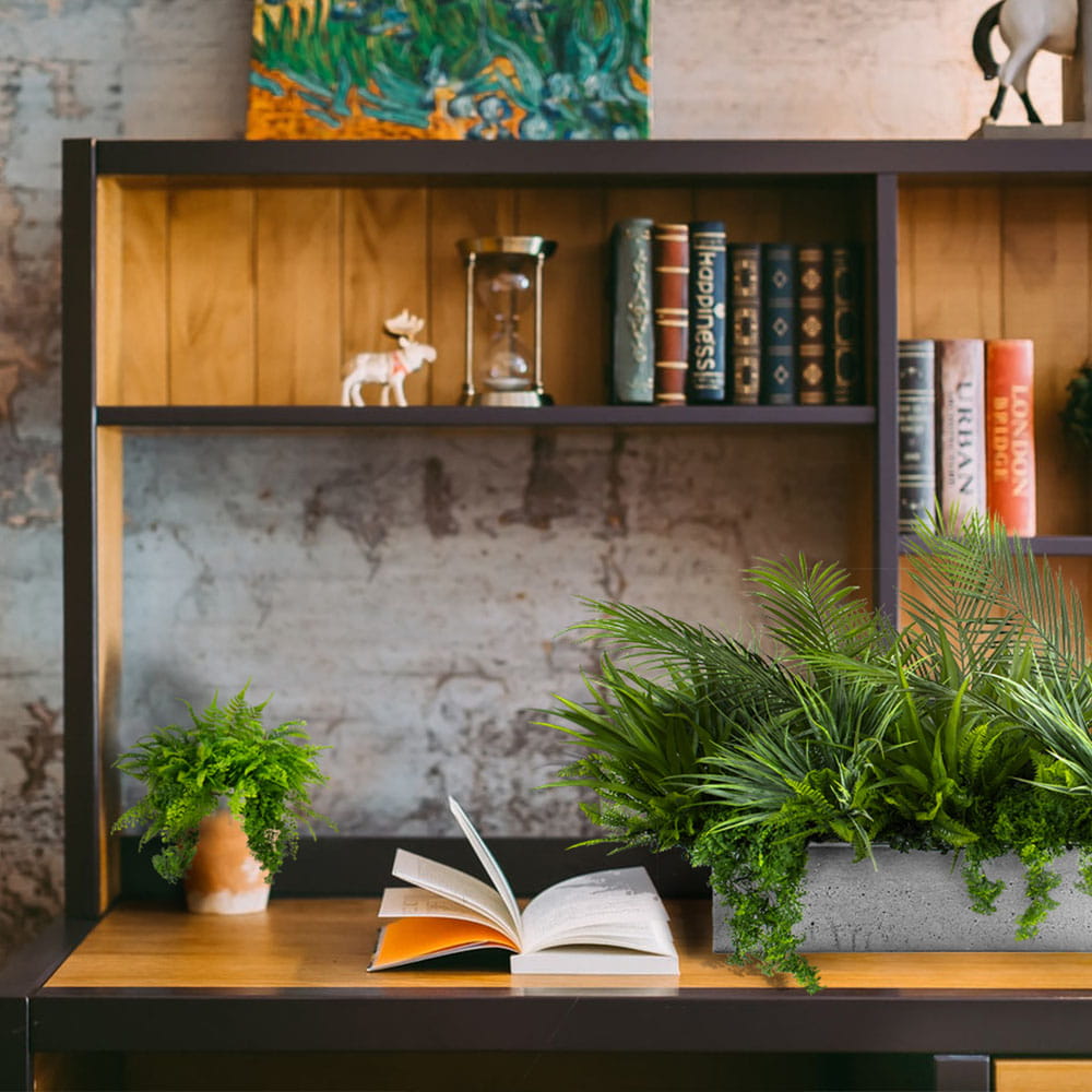 Remplir le pot Coast Side avec des plantes – Green Designers