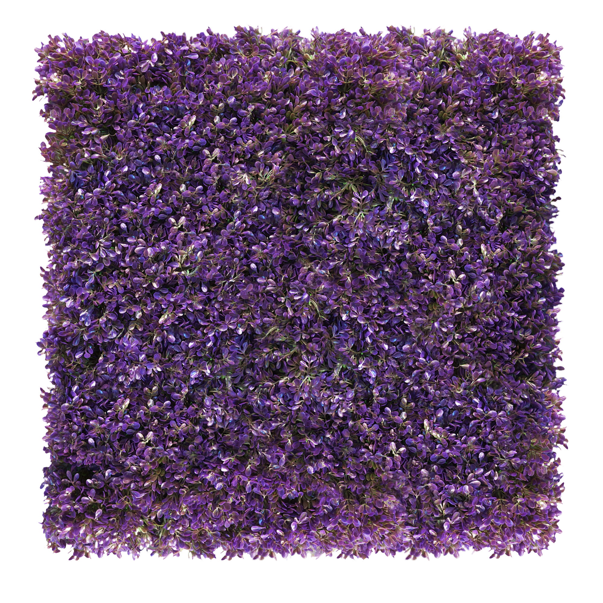 Mur de plantes Violet fuchsia 50x50cm