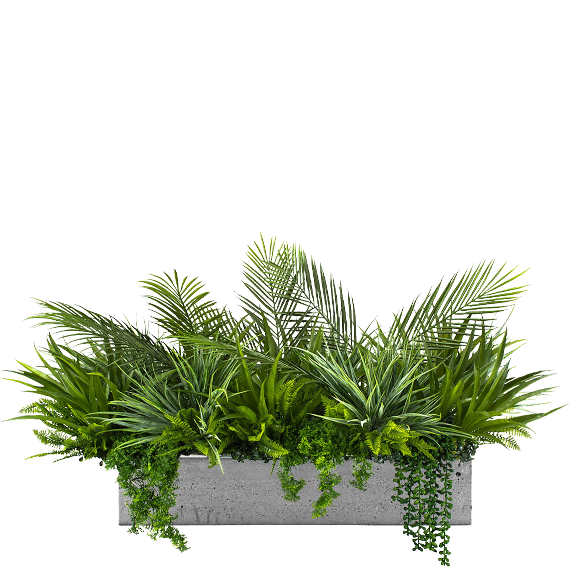 Remplir le pot Coast Side avec des plantes – Green Designers