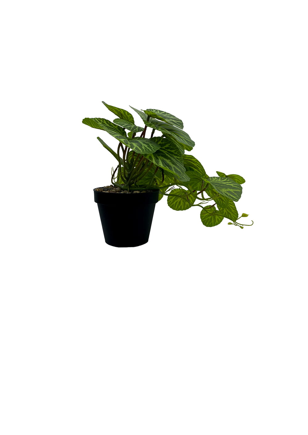 Plante Pilea artificielle 37 cm – Green Designers