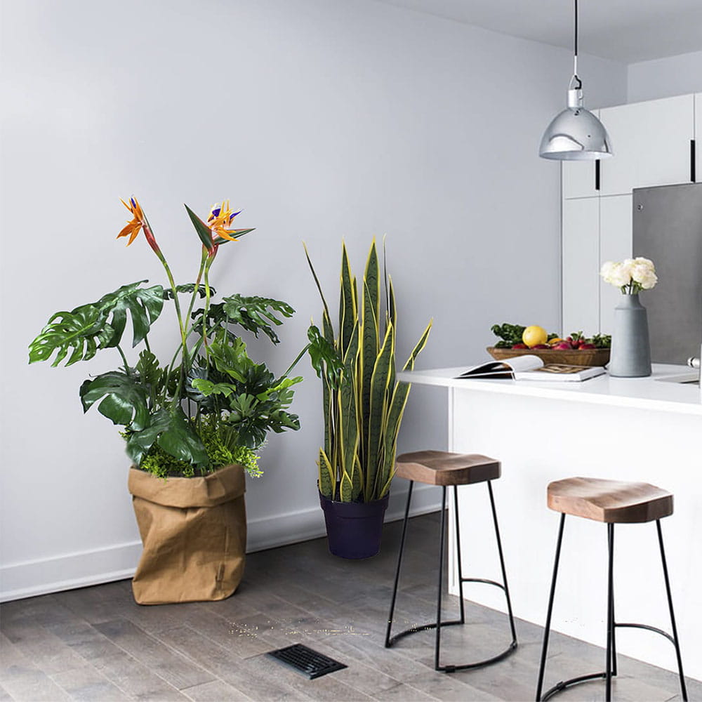 Insert végétal pour le pot Sunrise – Green Designers