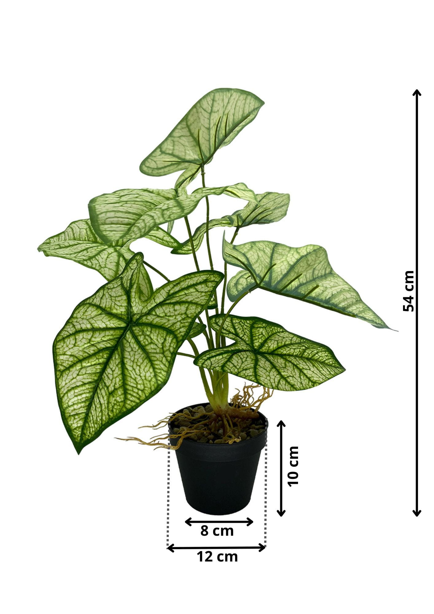 Plante Syngonium artificielle 54 cm – Green Designers