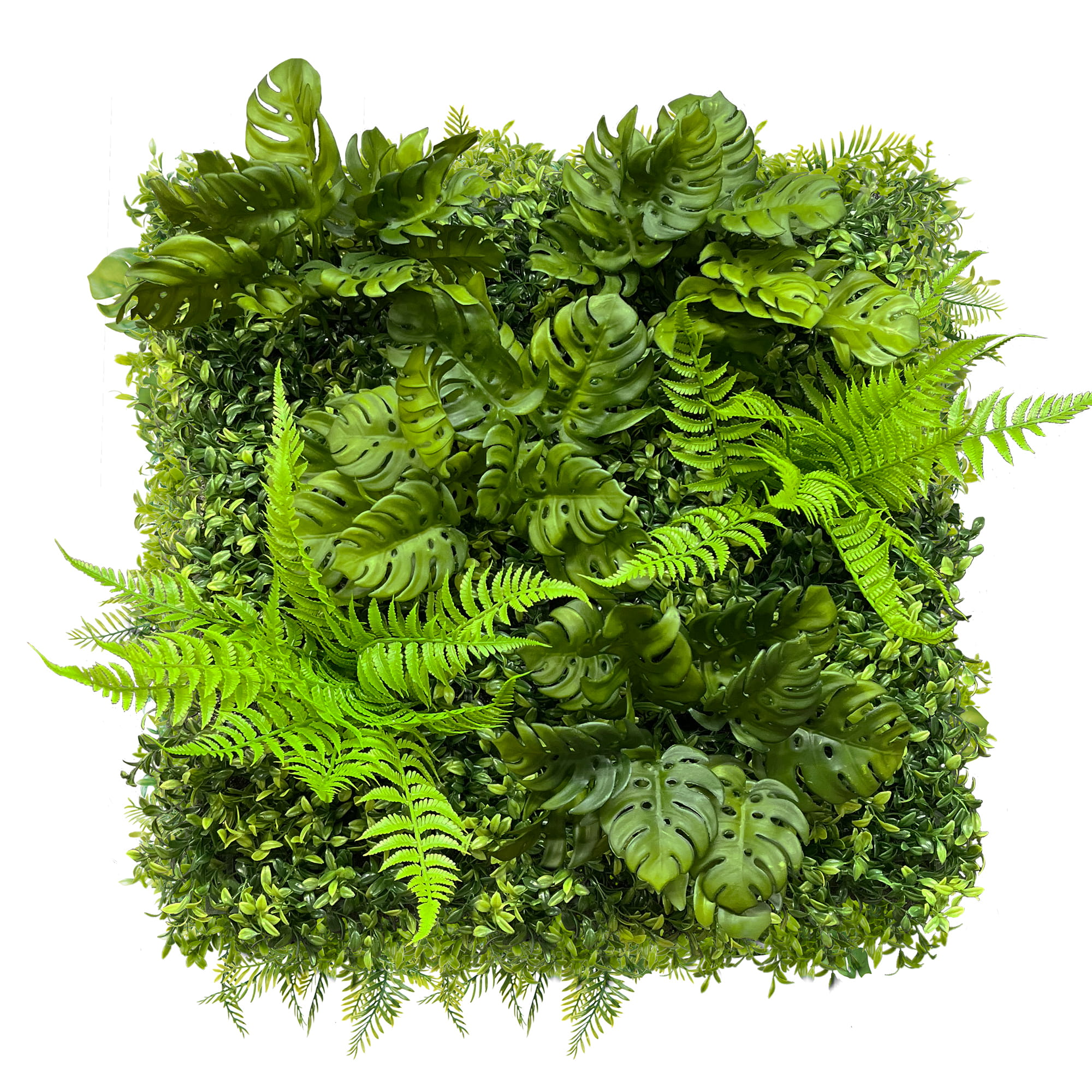 Mur végétal Monstera 50x50cm