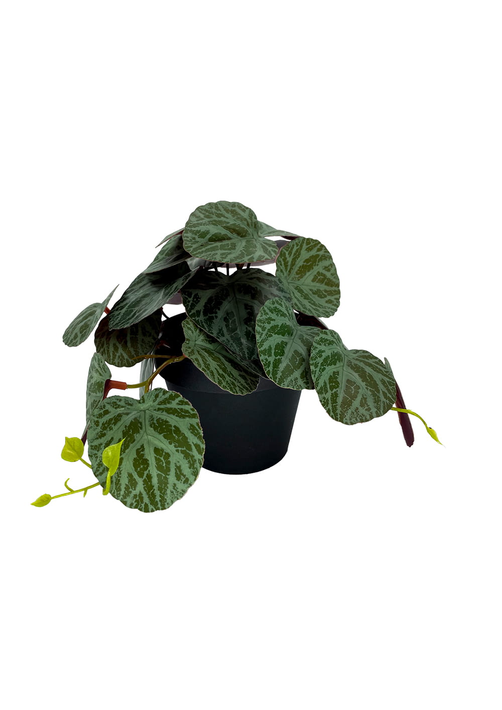 Plante Pilea artificielle 19 cm - Vert Foncé