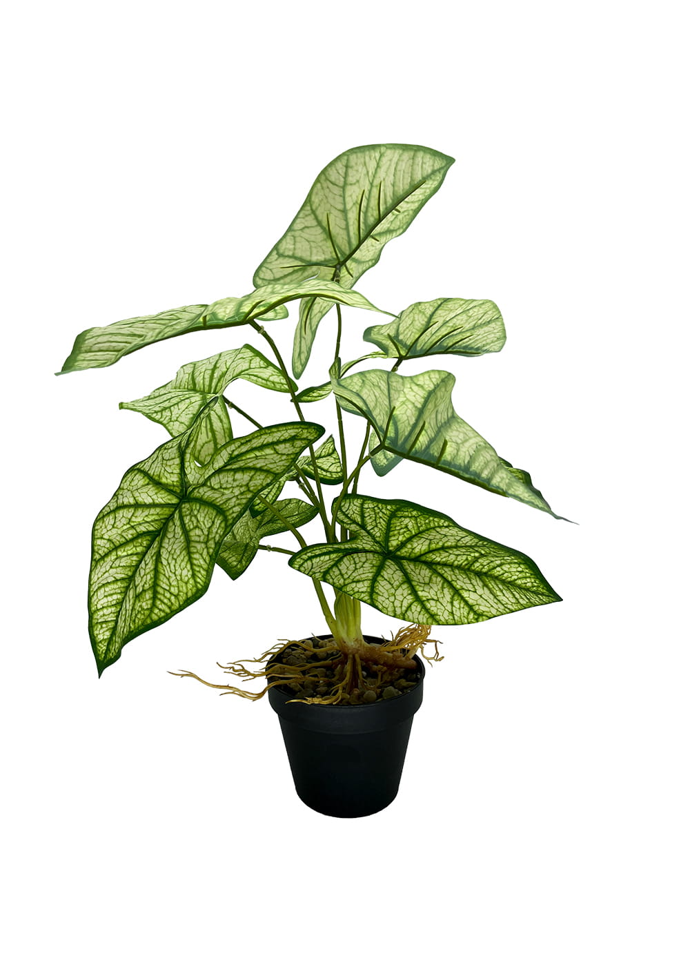 Plante Syngonium artificielle 54 cm – Green Designers