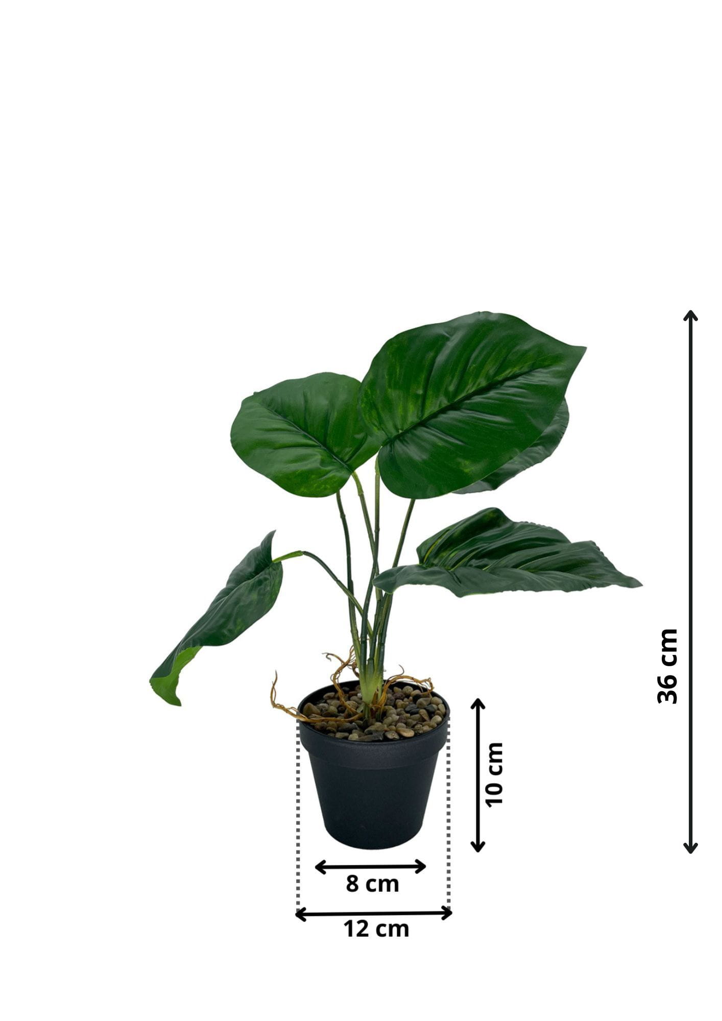 Plante d'arrow-root artificielle 36 cm – Green Designers