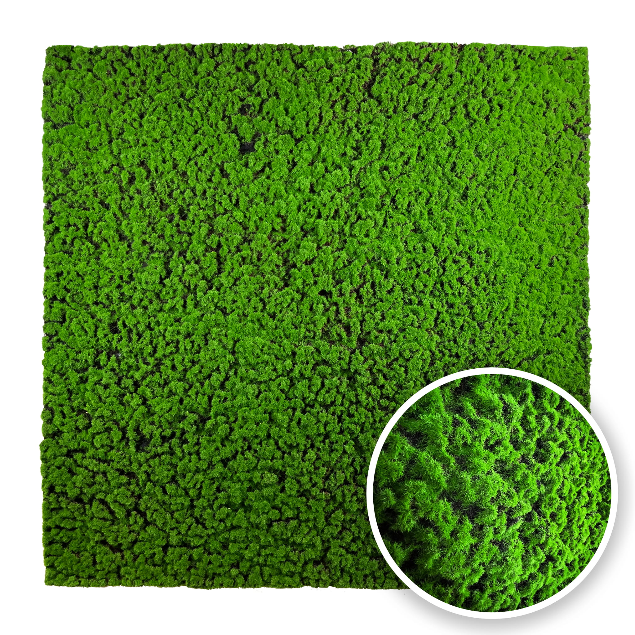 Mousse artificielle Chrobotek 100x100cm – Green Designers
