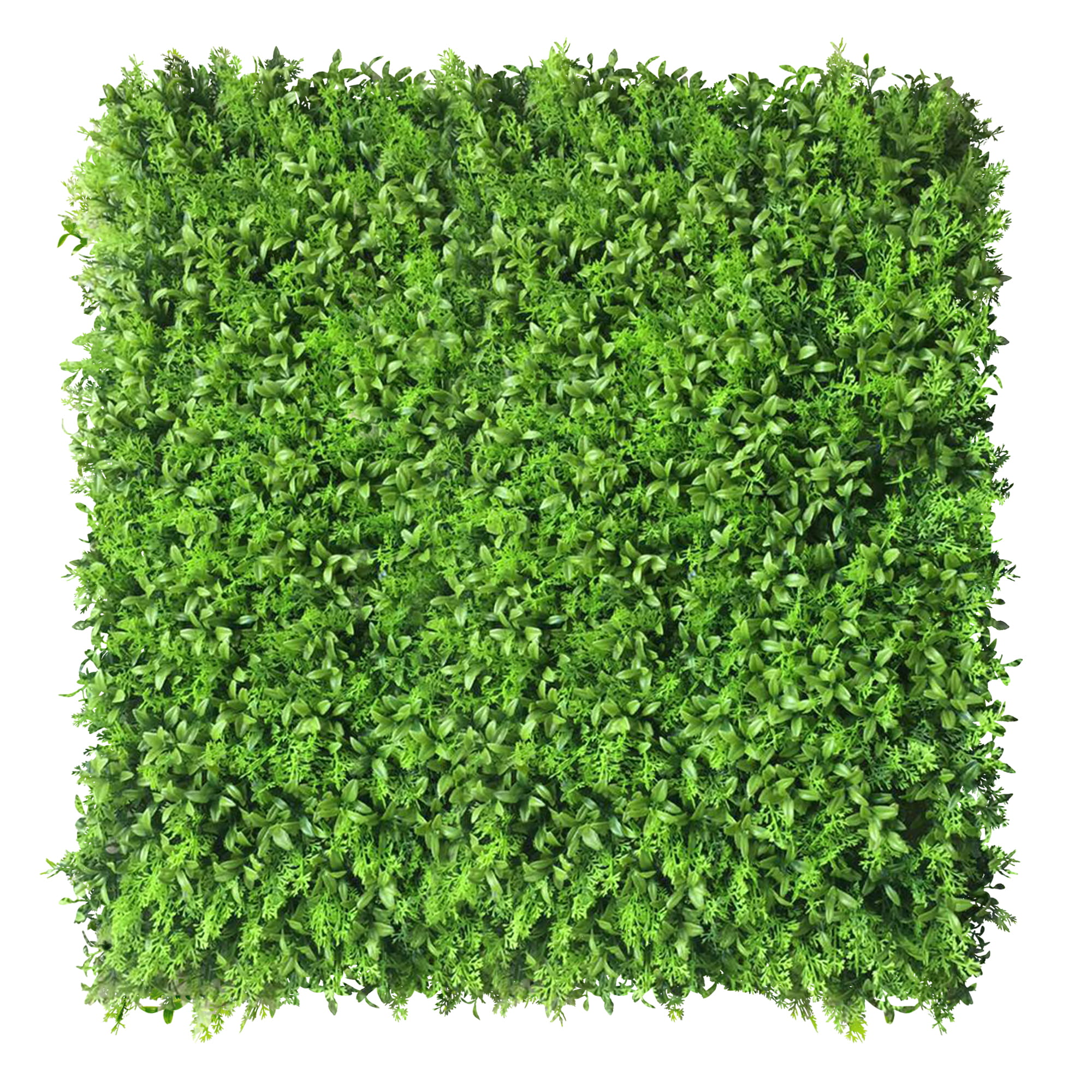 Mur végétal Zmienka 50x50cm