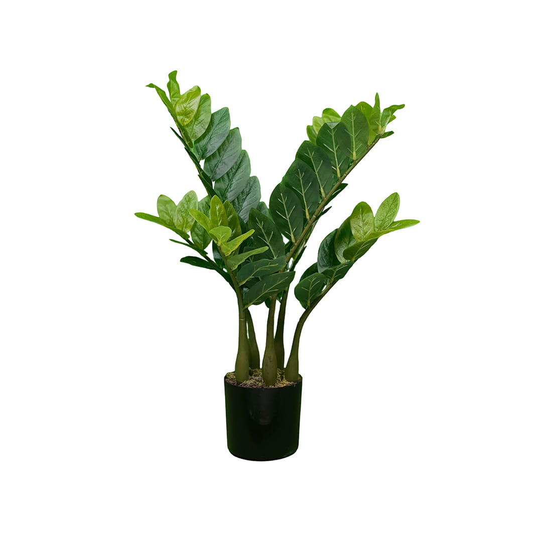 Plante artificielle Zamiokulkas 60cm – Green Designers