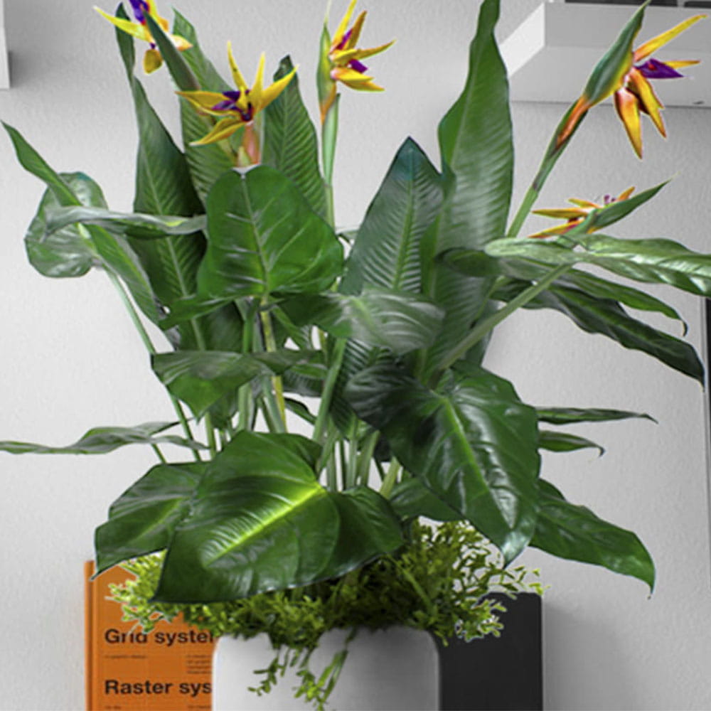 Remplissage végétal pour le pot Paradise Bird – Green Designers