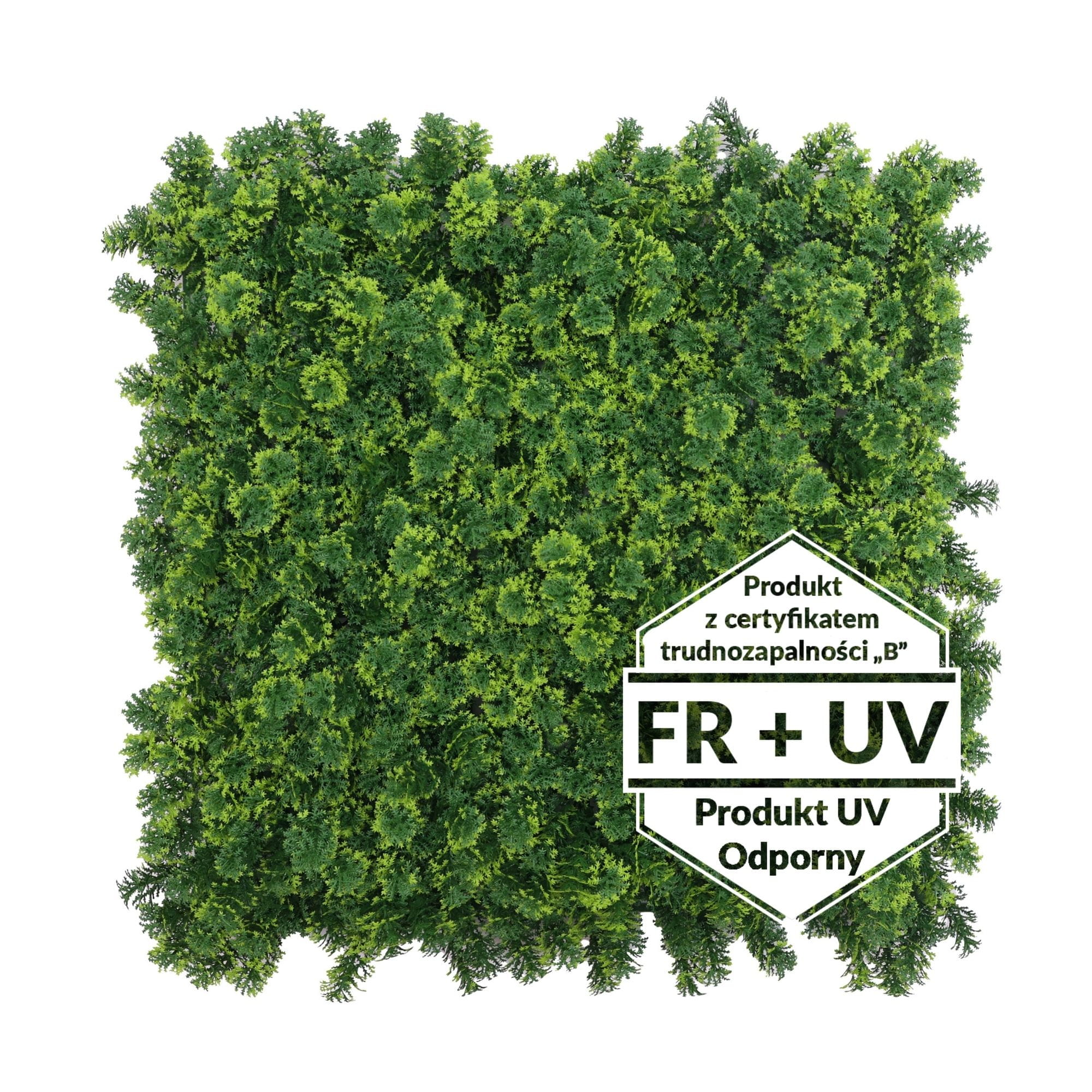 Tapis vert artificiel Ptérygion FR - B UV 50x50cm