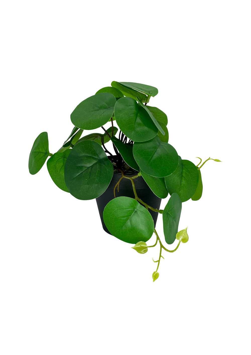 Plante Pilea artificielle 20 cm - Vert clair