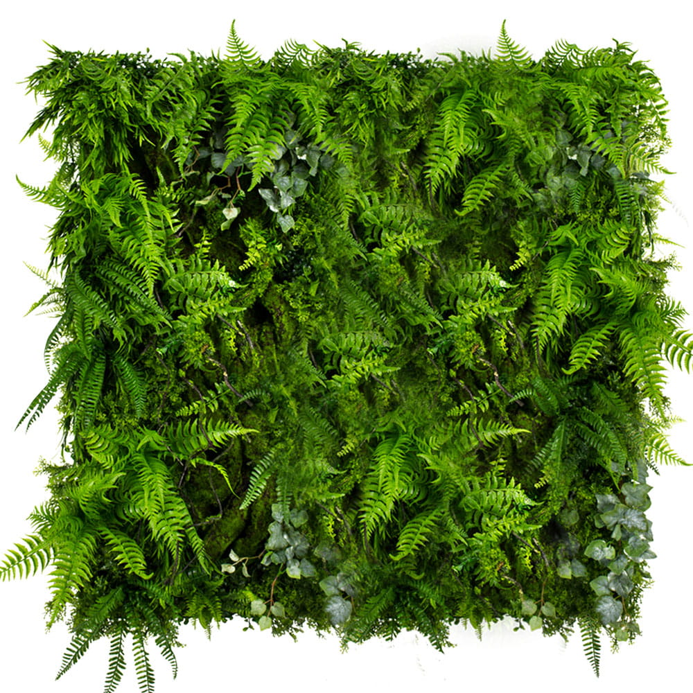 Jardin vertical à frondes feuillues – Green Designers