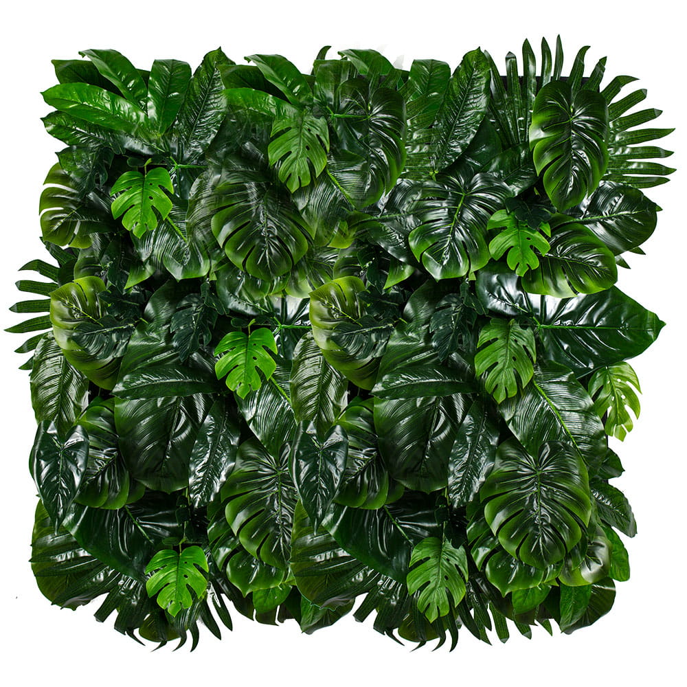 Jardin vertical Monstera Madness – Green Designers