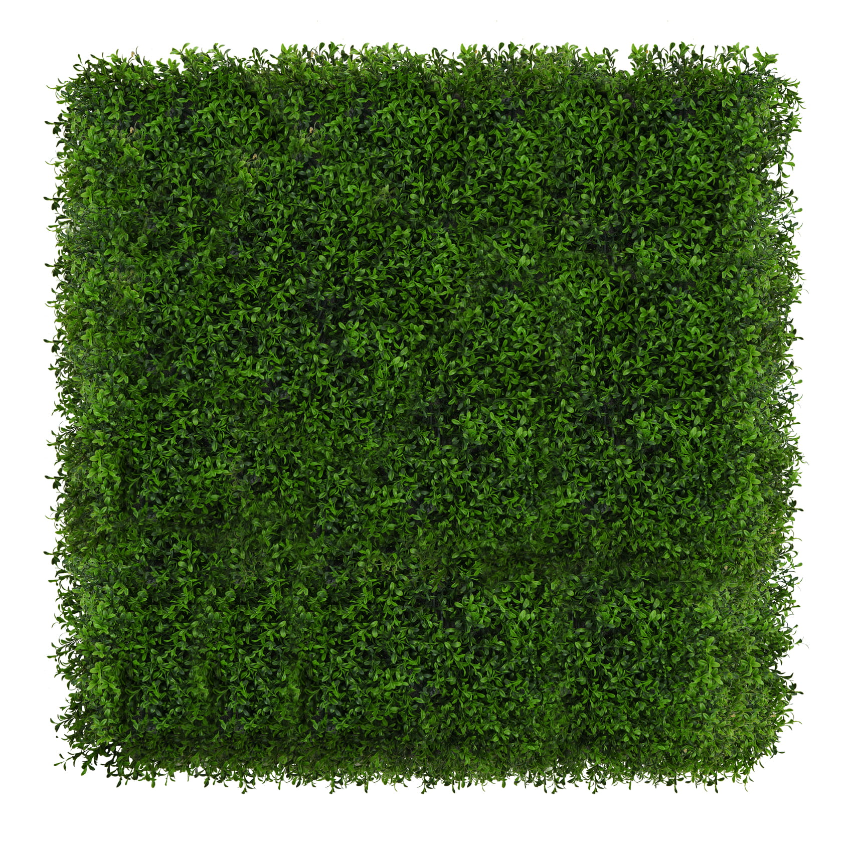 Tapis UV Buis artificiel vert 50x50cm – Green Designers