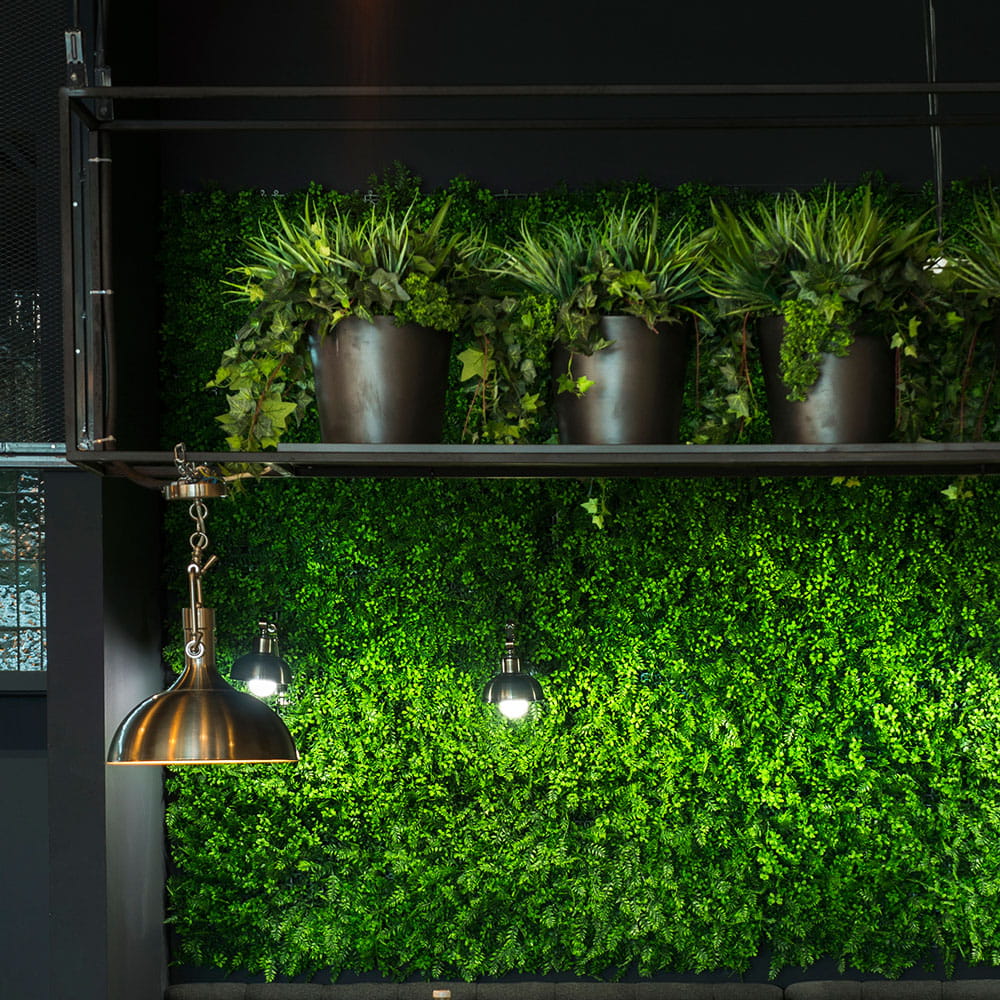 Remplissage végétal pour le pot Blue Jay – Green Designers