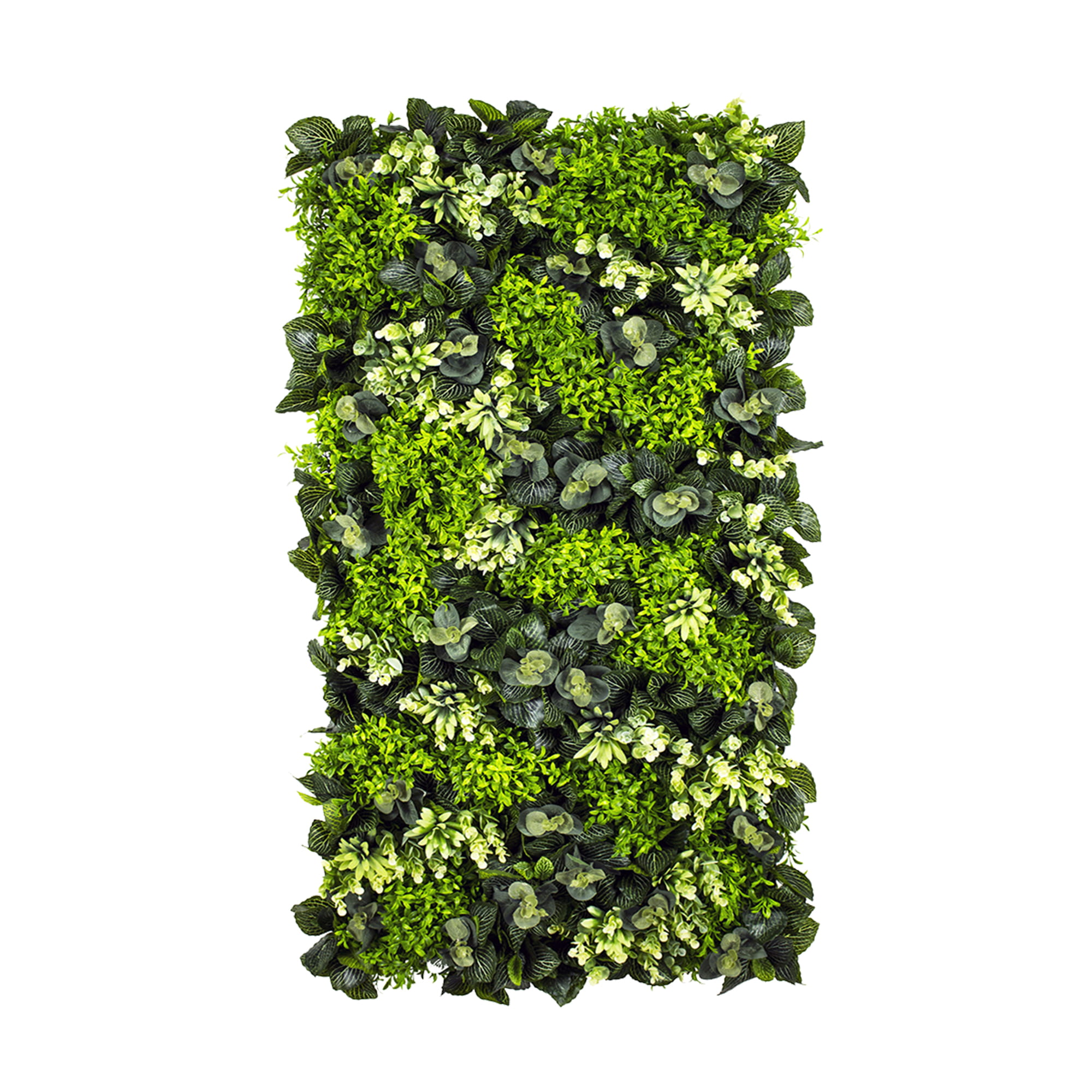Petit jardin vertical vert