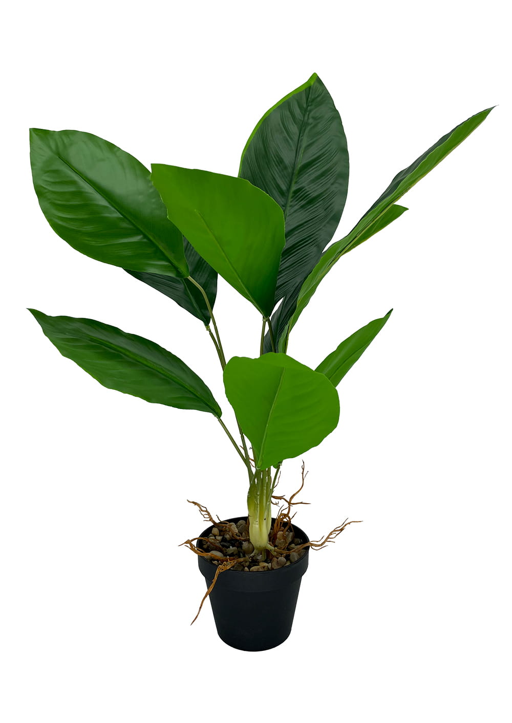 Plante artificielle Aspidistra 62 cm – Green Designers