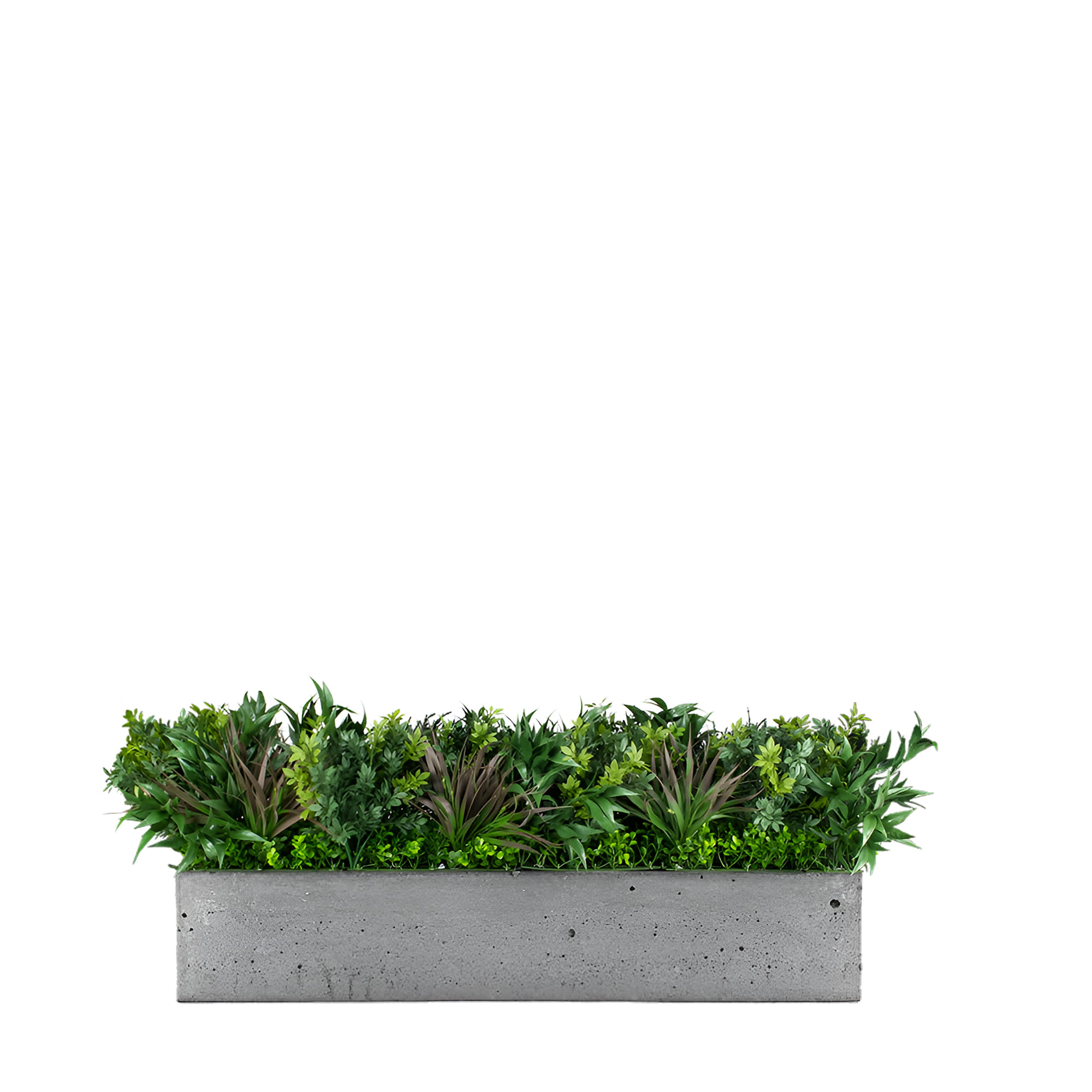 Composition pot de fleurs Passerine FR UV – Green Designers