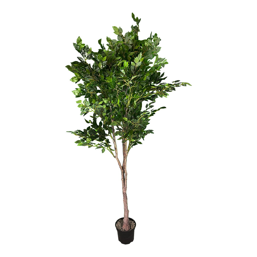 Plante artificielle Ficus Benjamin 180cm – Green Designers