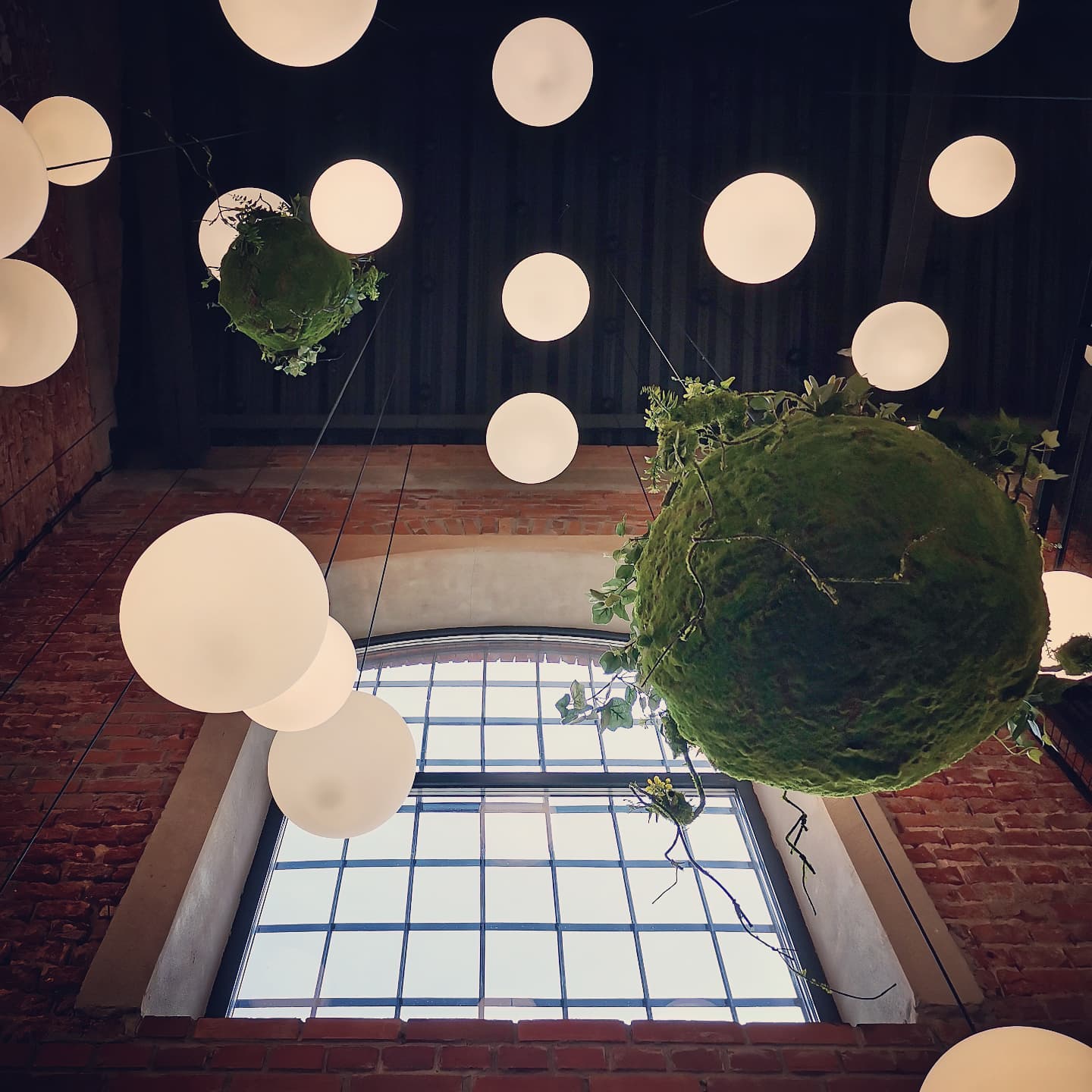 Boule de mousse suspendue Kokedama 35 cm – Green Designers
