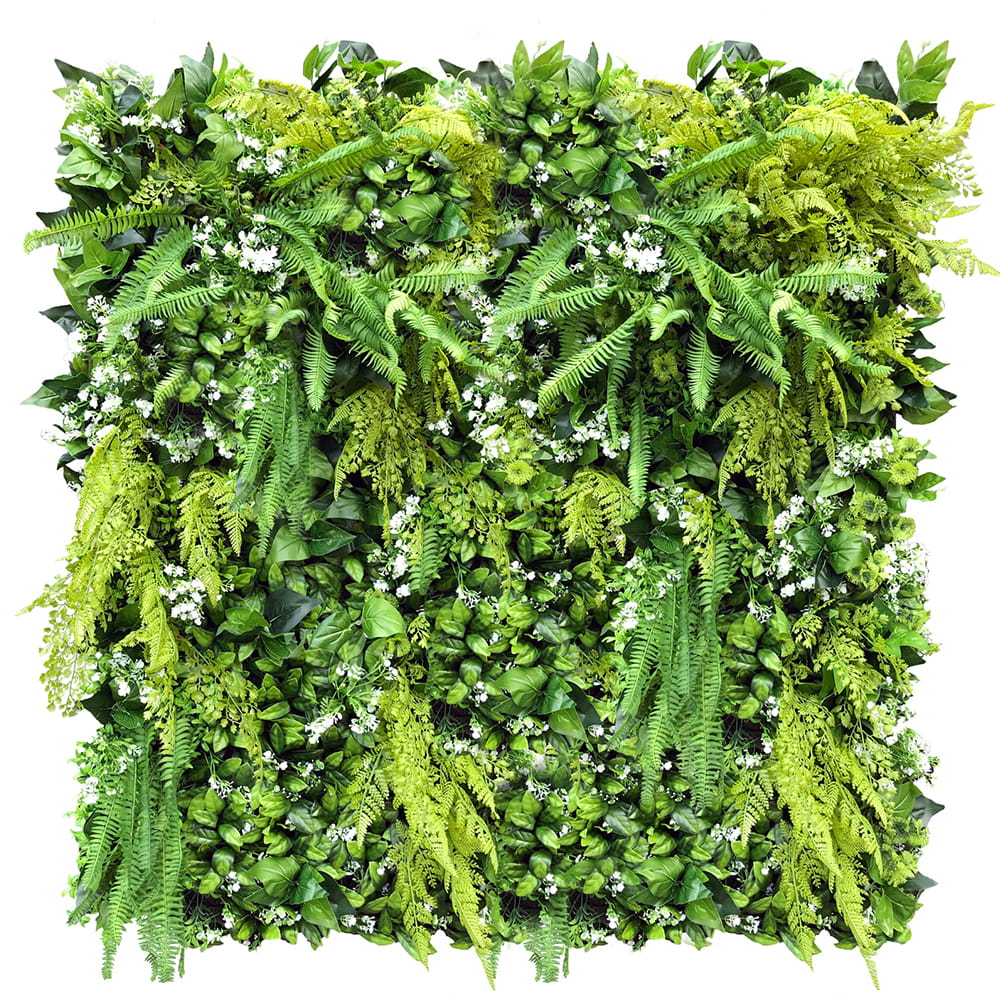 Jardin vertical marguerite blanche – Green Designers