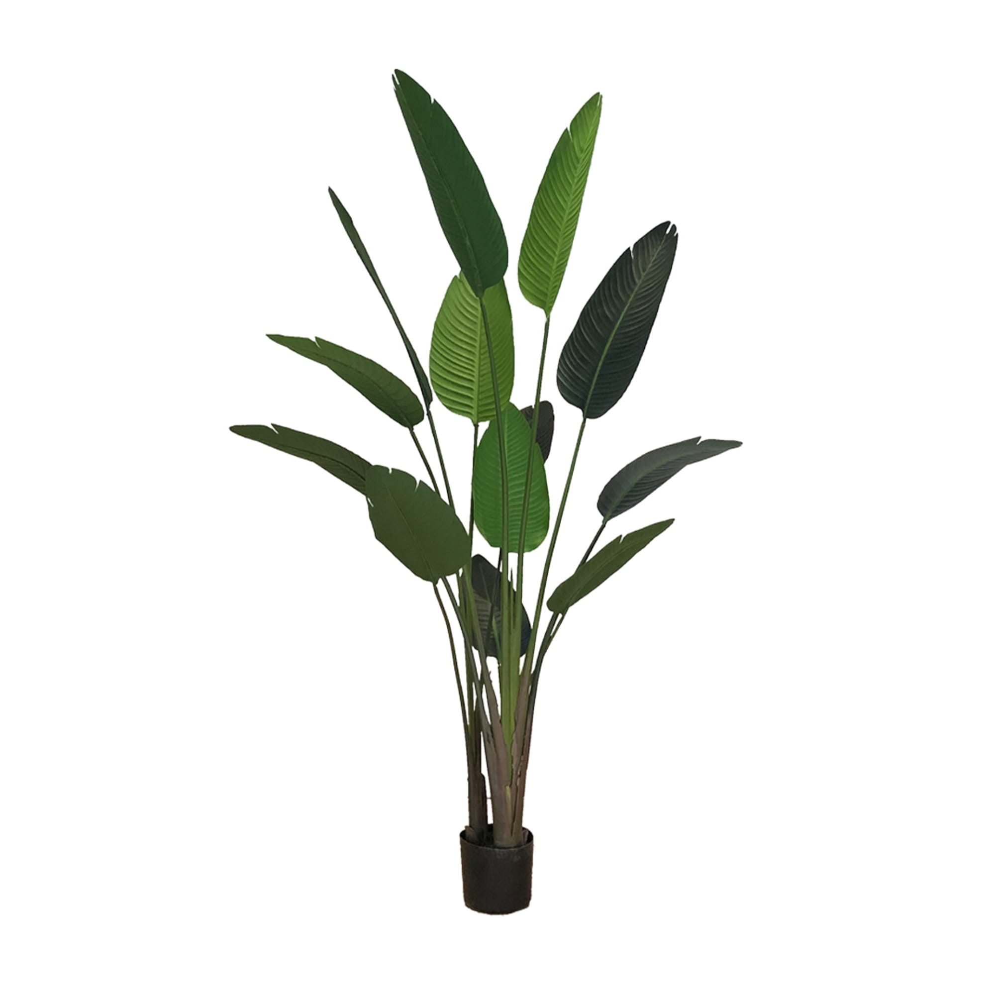 Plante artificielle en pot Strelitzia 220cm