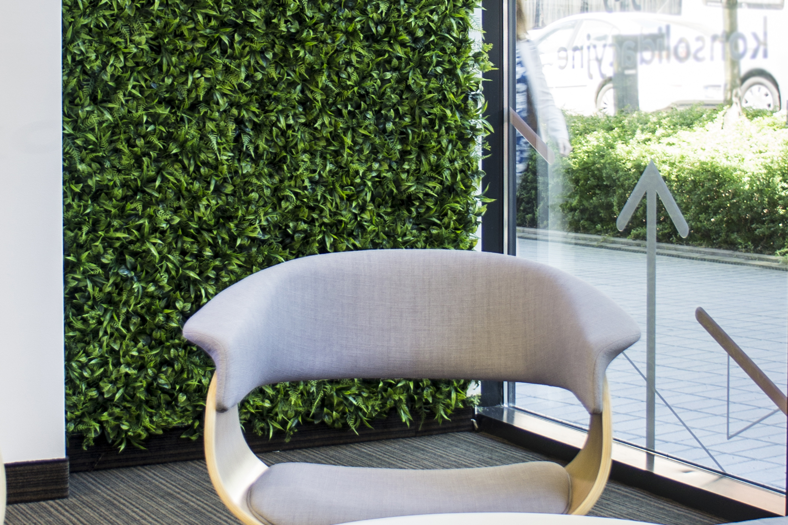 Mur végétal Peperomia 50x50cm – Green Designers