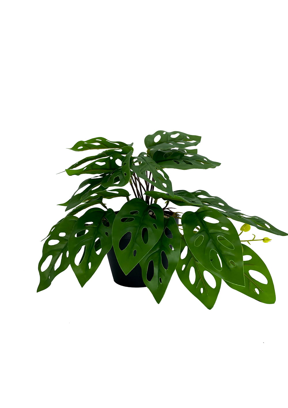 Plante artificielle Monstera Singe 25 cm – Green Designers