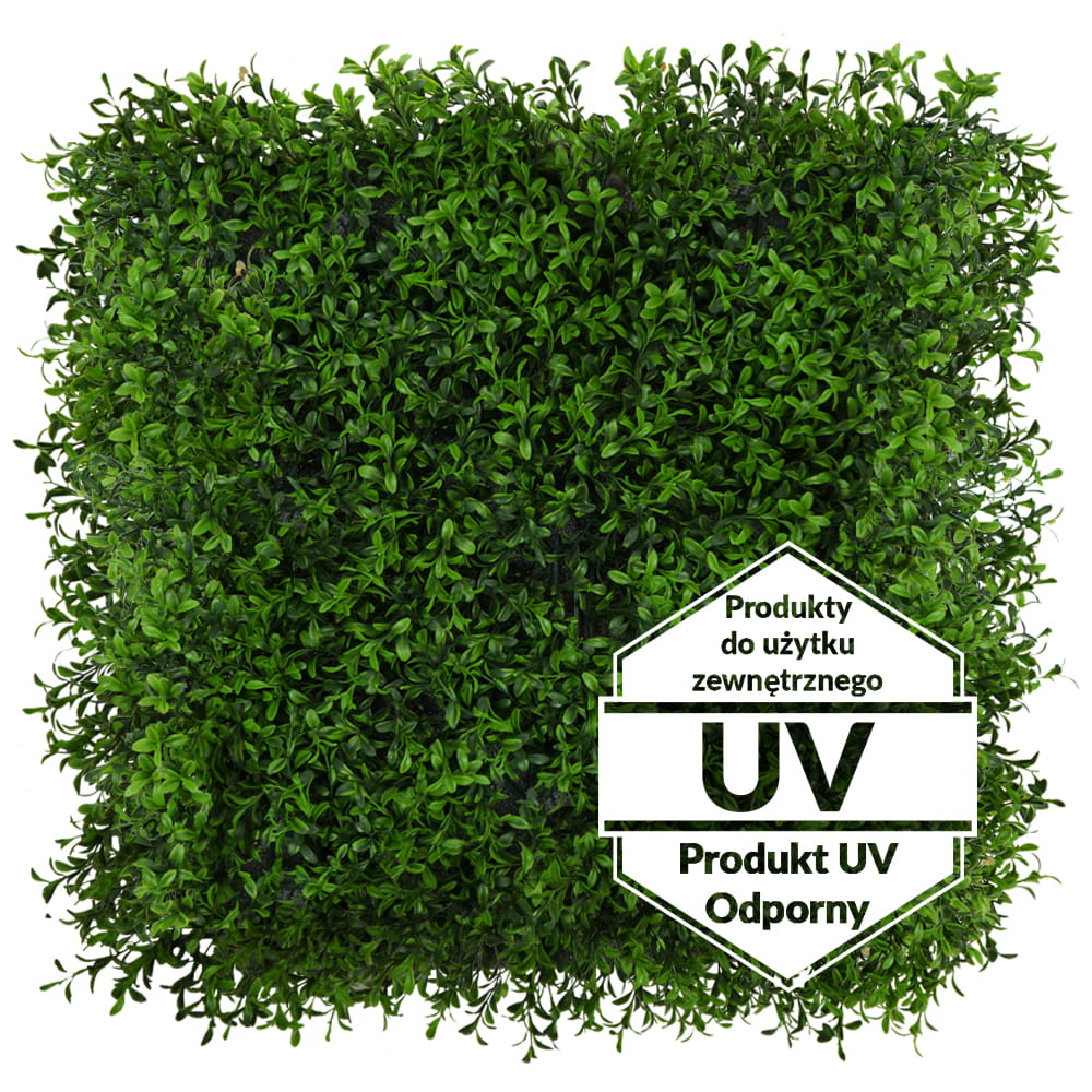 Tapis UV Buis artificiel vert 50x50cm