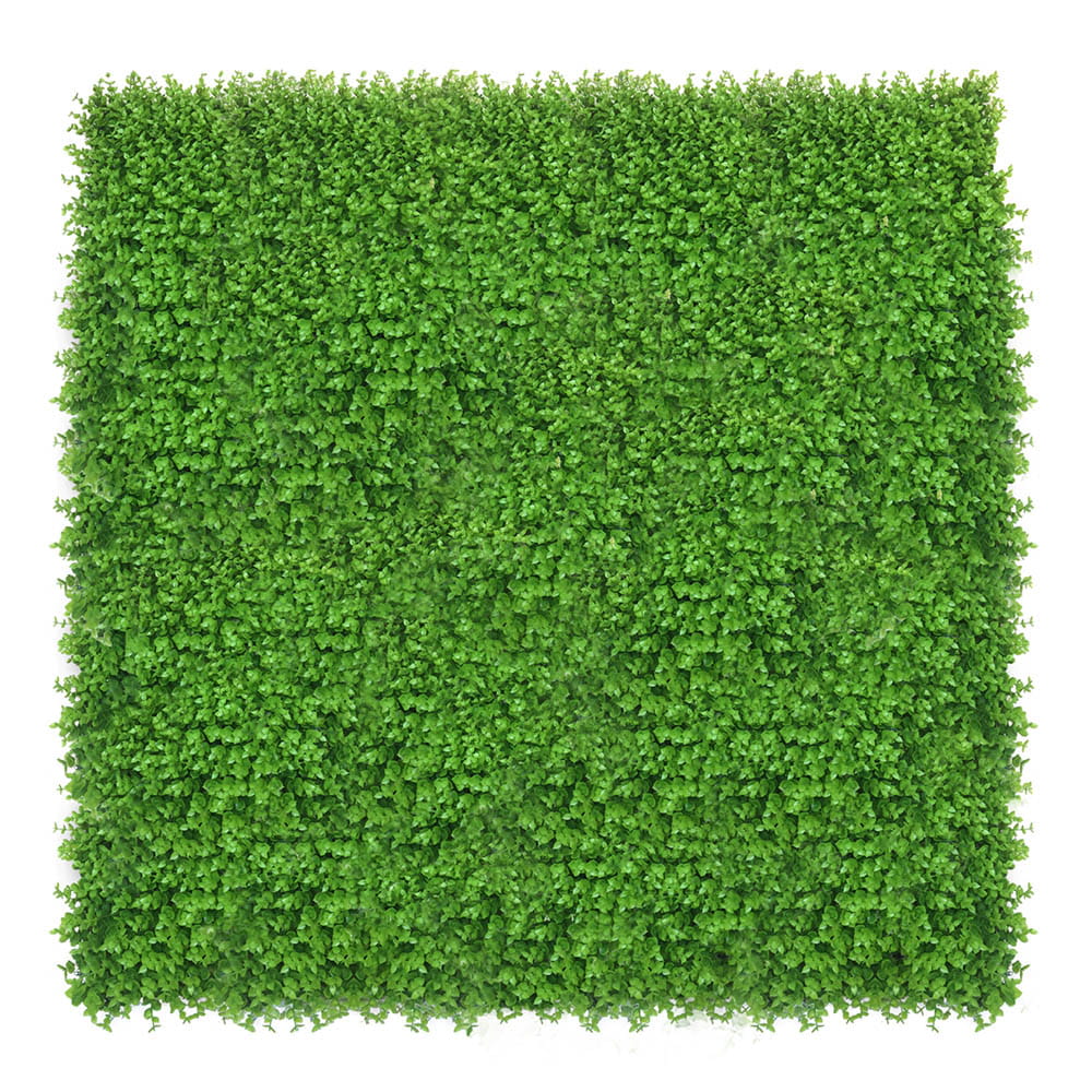 Mur végétal Wielomlecz 50x50cm – Green Designers