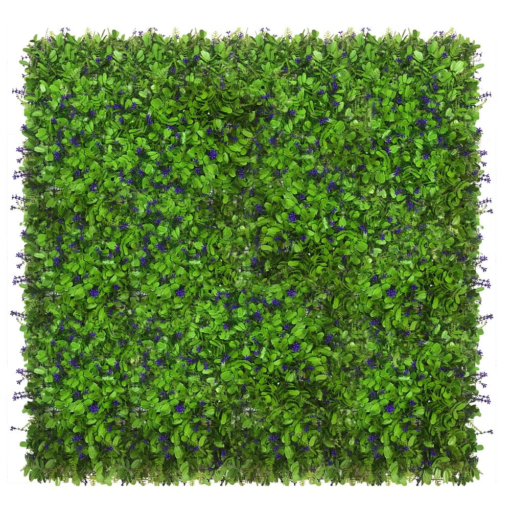 Mur végétal Myosotis 50x50cm – Green Designers