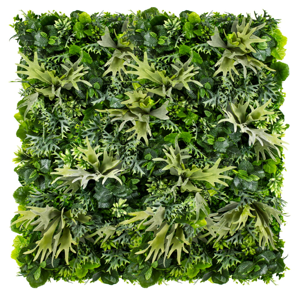 Jardin vertical en cornes d'orignal – Green Designers
