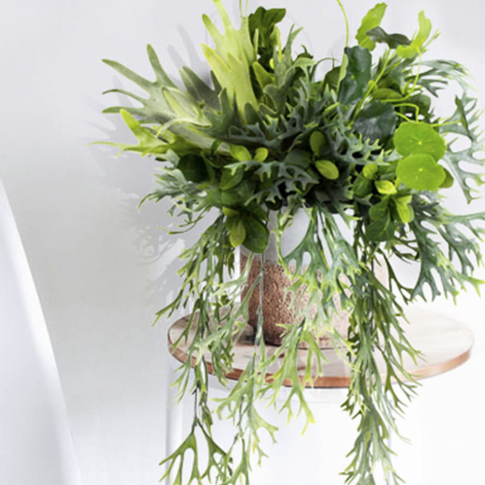 Insert pour le pot Chardonneret – Green Designers
