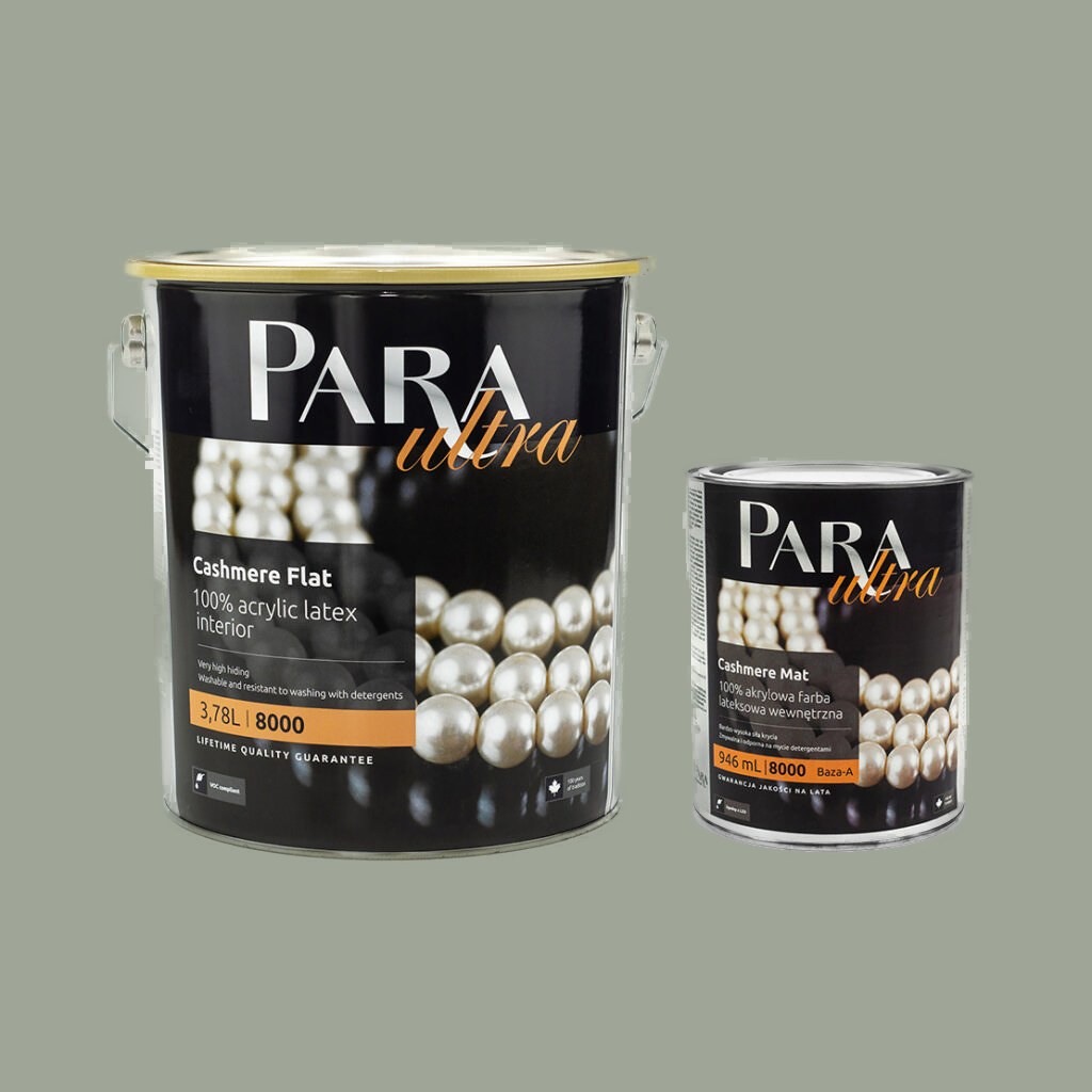 PARA Ultra 8000 CHARCOAL TINT – Wonderwall Studio