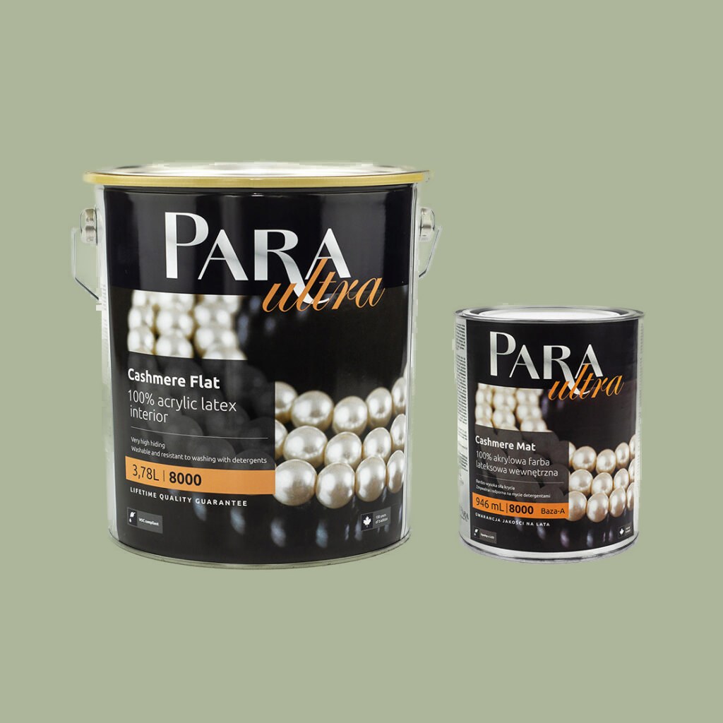 PARA Ultra 8000 DOMAIN – Wonderwall Studio