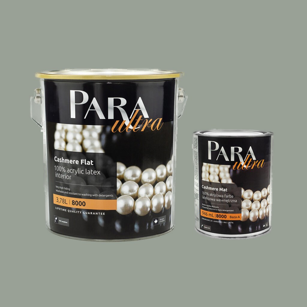 PARA Ultra 8000 RENEGADE – Wonderwall Studio
