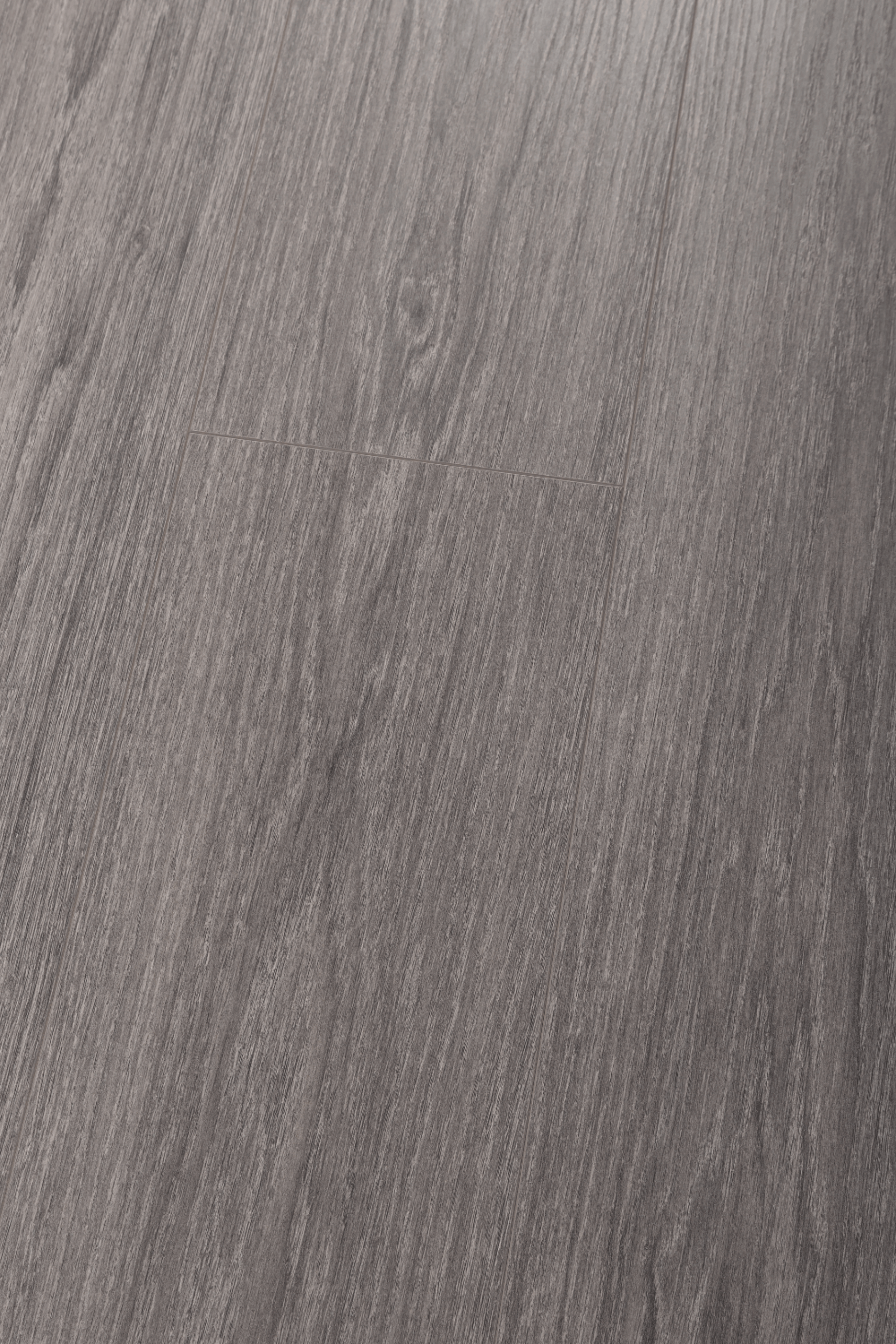 Panneau stratifié Chêne Popielaty – Premium Floor