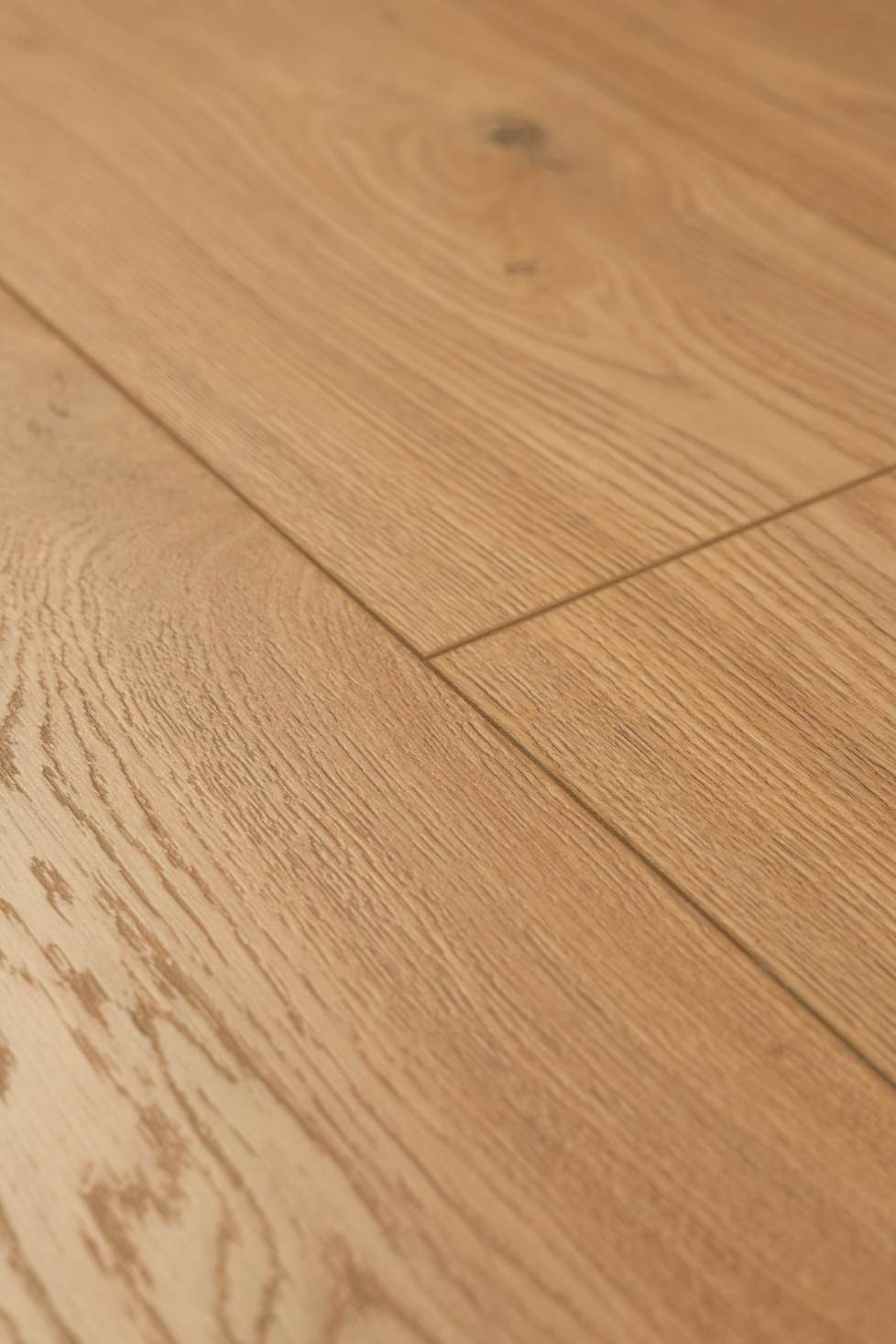 Panneau stratifié Chêne Jantar – Premium Floor